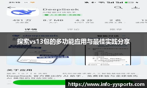 探索vs13包的多功能应用与最佳实践分享